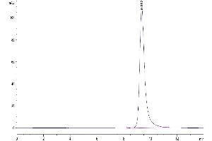 The purity of Human IL-25 is greater than 95 % as determined by SEC-HPLC. (IL-25 Protein (AA 33-177) (His tag))