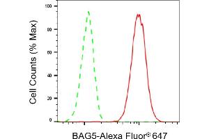 anti-BCL2-Associated Athanogene 5 (BAG5) antibody