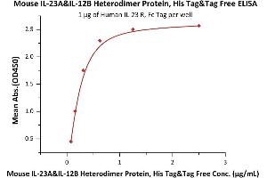 Immobilized Human IL-23 R, Fc Tag (ABIN6731281,ABIN6809891) at 10 μg/mL (100 μL/well) can bind Mouse IL-23A&IL-12B Heterodimer Protein, His Tag&Tag Free (ABIN4949174,ABIN4949175) with a linear range of 0. (IL12A & IL27B (AA 22-196) (Active) protein (His tag))
