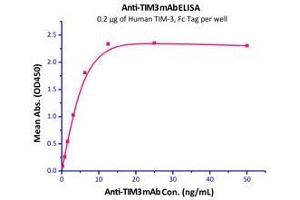 Immobilized Human TIM-3 (22-200), Fc Tag (Cat# TM3-H5258) at 2 μg/mL (100 µl/well),can bind anti-TIM3 mAb with a linear range of 0.