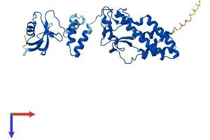 AlphaFold protein structure predicition of Mouse Recombinant Dffb Protein, UniprotID O54788