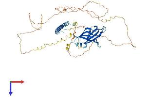 AlphaFold protein structure predicition of Mouse Recombinant Rab11fip2 Protein, UniprotID G3XA57