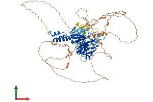 AlphaFold protein structure predicition of Human Recombinant FBXO42 Protein, UniprotID Q6P3S6
