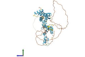 AlphaFold protein structure predicition of Human Recombinant ZBTB6 Protein, UniprotID Q15916