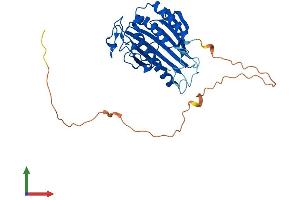 AlphaFold protein structure predicition of Mouse Recombinant Pitpnc1 Protein, UniprotID Q8K4R4