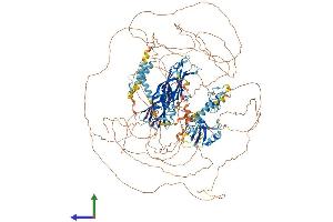 AlphaFold protein structure predicition of Human Recombinant RIMS2 Protein, UniprotID Q9UQ26