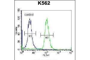 Flow cytometric analysis of K562 cells (right histogram) compared to a negative control cell (left histogram).