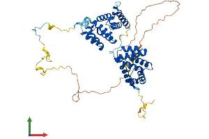 AlphaFold protein structure predicition of Mouse Recombinant Pdcd4 Protein, UniprotID Q61823