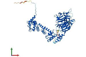 AlphaFold protein structure predicition of Mouse Recombinant Klhl36 Protein, UniprotID Q8R124