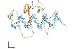 AlphaFold protein structure predicition of Human Recombinant ZNF41 Protein, UniprotID P51814