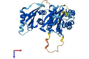 AlphaFold protein structure predicition of Human Recombinant FUZ Protein, UniprotID Q9BT04