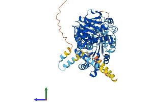 AlphaFold protein structure predicition of Human Recombinant DDX55 Protein, UniprotID Q8NHQ9