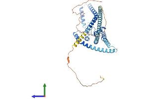 AlphaFold protein structure predicition of Human Recombinant KCNK2 Protein, UniprotID O95069