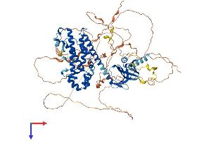 AlphaFold protein structure predicition of Mouse Recombinant Arhgef15 Protein, UniprotID Q5FWH6