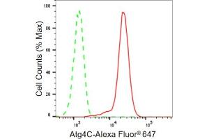 Flow cytometric analysis of Atg4C expression in HepG2 cells using Atg4C antibody (ABIN7797711), 1:2,000).