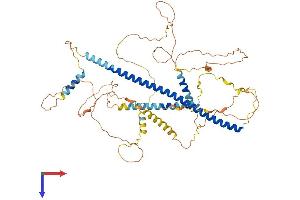 AlphaFold protein structure predicition of Mouse Recombinant Hdac9 Protein, UniprotID Q99N13