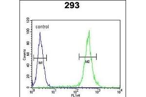 UNC13B Antibody (Center) (ABIN652852 and ABIN2842552) flow cytometric analysis of 293 cells (right histogram) compared to a negative control cell (left histogram). (UNC13B anticorps  (AA 1062-1091))