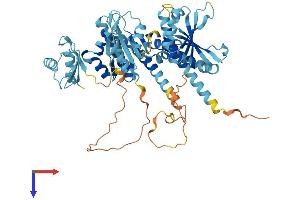 AlphaFold protein structure predicition of Mouse Recombinant Igf2bp3 Protein, UniprotID Q9CPN8