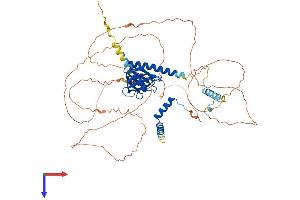 AlphaFold protein structure predicition of Mouse Recombinant Dcp1a Protein, UniprotID Q91YD3