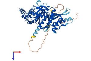 AlphaFold protein structure predicition of Human Recombinant SNX31 Protein, UniprotID Q8N9S9