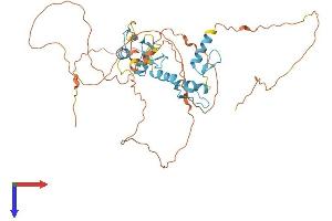 AlphaFold protein structure predicition of Human Recombinant ZIC1 Protein, UniprotID Q15915