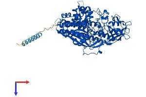 AlphaFold protein structure predicition of Human Recombinant NAALADL1 Protein, UniprotID Q9UQQ1