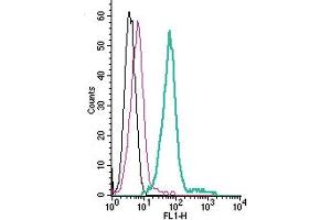 Cell surface detection of KCNQ1 by direct flow cytometry in live intact mouse J774 macrophage cells: + Rabbit IgG Isotype Control-FITC (ABIN7582044).