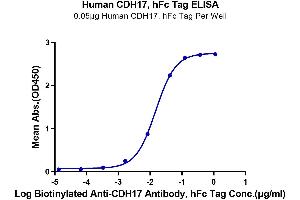 Immobilized Human CDH17, hFc Tag at 0.