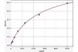 Typical standard curve (Selectin E/CD62e Kit ELISA)