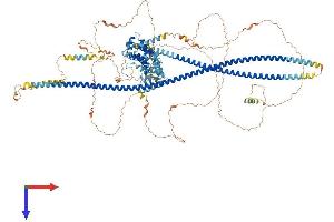 AlphaFold protein structure predicition of Mouse Recombinant Tsc1 Protein, UniprotID Q9EP53