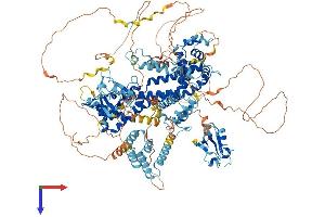 AlphaFold protein structure predicition of Mouse Recombinant Grid2ip Protein, UniprotID Q0QWG9