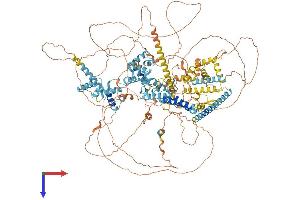 AlphaFold protein structure predicition of Mouse Recombinant Snapc4 Protein, UniprotID Q8BP86