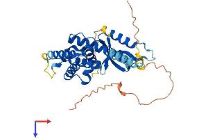 AlphaFold protein structure predicition of Mouse Recombinant Gas2 Protein, UniprotID P11862
