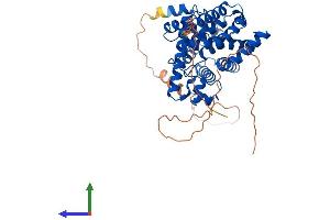 AlphaFold protein structure predicition of Human Recombinant PDE7B Protein, UniprotID Q9NP56