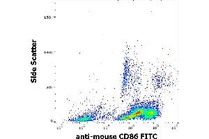 Flow cytometry surface staining pattern of murine splenocyte suspension stained using anti-mouse CD86 (GL-1) FITC antibody (concentration in sample 0,33 μg/mL). (CD86 anticorps  (FITC))