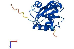 AlphaFold protein structure predicition of Human Recombinant TXNL4B Protein, UniprotID Q9NX01