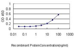 Detection limit for recombinant GST tagged TP53RK is approximately 1ng/ml as a capture antibody. (TP53RK anticorps  (AA 1-253))