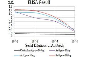 Black line: Control Antigen (100 ng),Purple line: Antigen (10 ng), Blue line: Antigen (50 ng), Red line:Antigen (100 ng) (ANAPC10 anticorps  (AA 1-185))