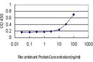 Detection limit for recombinant GST tagged SMPD2 is approximately 10ng/ml as a capture antibody. (SMPD2 anticorps  (AA 1-423))