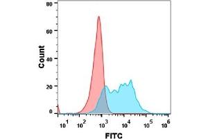 Flow cytometry analysis with 1 μg/mL Human BCMA Protein, mFc tag (ABIN6961108, ABIN7042245 and ABIN7042246) on Expi293 cells transfected with human BAFF (Blue histogram) or Expi293 transfected with irrelevant protein (Red histogram).