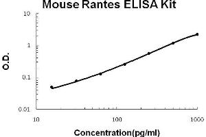 Mouse Rantes PicoKine ELISA Kit standard curve (CCL5 Kit ELISA)