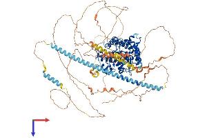 AlphaFold protein structure predicition of Human Recombinant HDAC9 Protein, UniprotID Q9UKV0