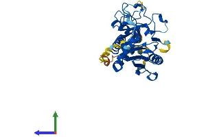 AlphaFold protein structure predicition of Human Recombinant GBGT1 Protein, UniprotID Q8N5D6