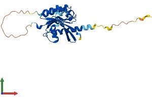 AlphaFold protein structure predicition of Mouse Recombinant Rab20 Protein, UniprotID P35295