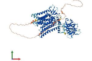 AlphaFold protein structure predicition of Mouse Recombinant Pomt2 Protein, UniprotID Q8BGQ4