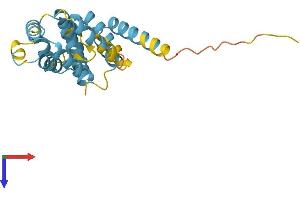 AlphaFold protein structure predicition of Human Recombinant FADD Protein, UniprotID Q13158