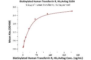 Immobilized Human Transferrin, His Tag (ABIN2181871,ABIN2181870) at 2 μg/mL (100 μL/well) can bind Biotinylated Human Transferrin R, His,Avitag (ABIN6973288) with a linear range of 2-63 ng/mL (QC tested).