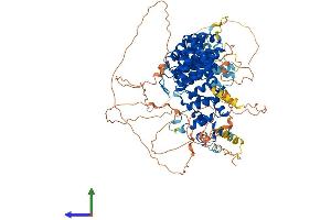 AlphaFold protein structure predicition of Mouse Recombinant Ppp6r1 Protein, UniprotID Q7TSI3
