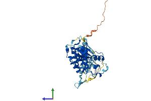 AlphaFold protein structure predicition of Mouse Recombinant Cdk10 Protein, UniprotID Q3UMM4