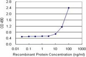 Sandwich ELISA detection sensitivity ranging from 10 ng/mL to 100 ng/mL. (ANXA4 (Humain) Matched Antibody Pair)